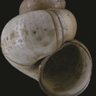 François Roffiaen's terrestrial and  ...
