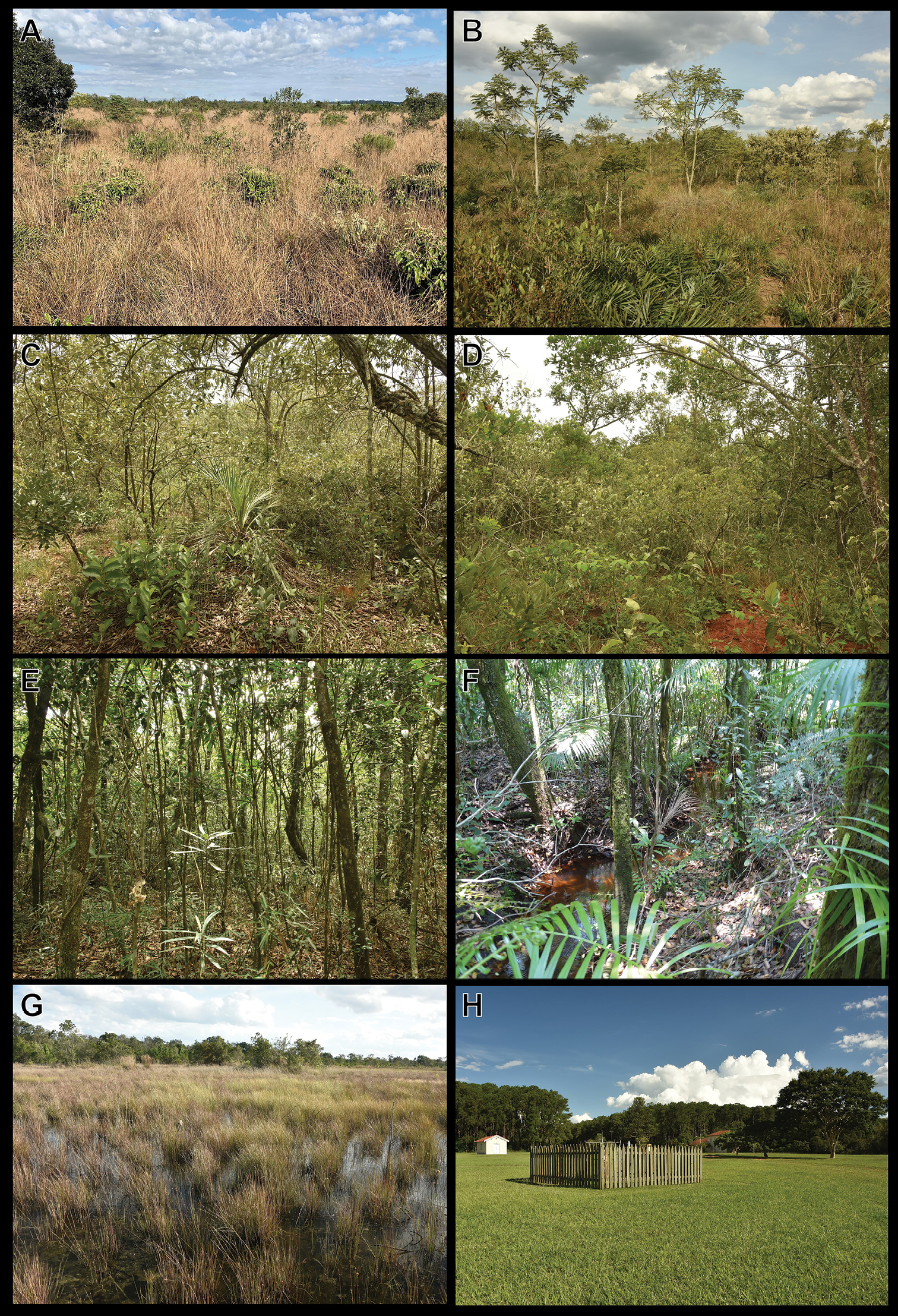 types of natural vegetation